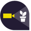 Plant phenotyperen