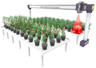 Phenotyping gantry