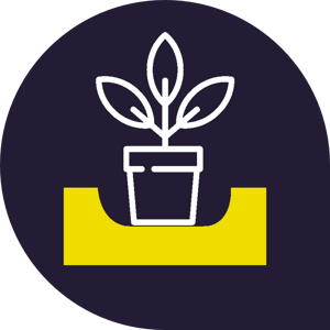 Walking Plant System