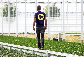 SmartFlo track als looppad 330x227