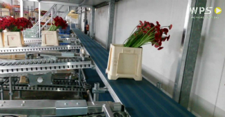 Cutting flowers automation