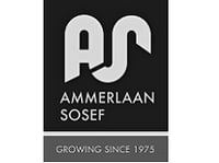 Ammerlaan-Sosef 