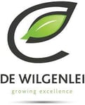 De Wilgenlei