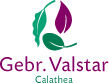 Gebr. Valstar