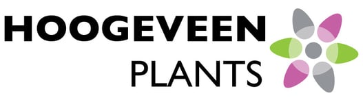 Hoogeveen Plants