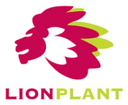 Lionplant