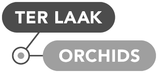 Ter Laak Orchids