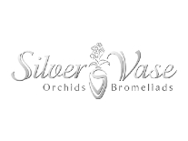 Silver Vase Orchids Bromeliads
