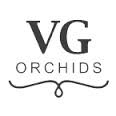 VG Orchids