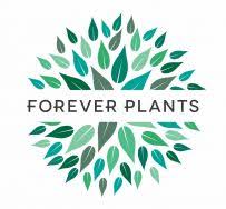 forever plants