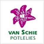 Van Schie