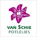 Van Schie