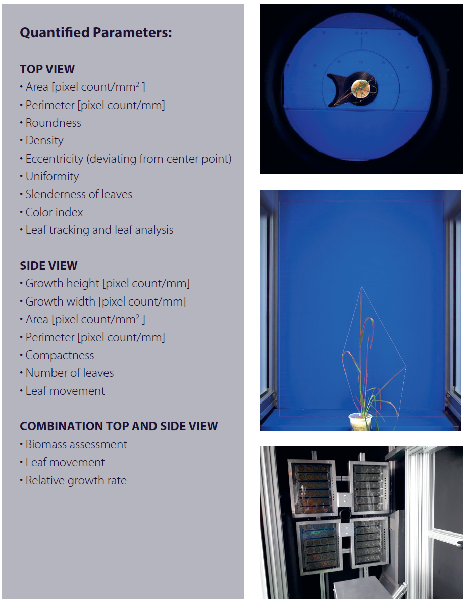 RGB Imaging Quantified Parameters
