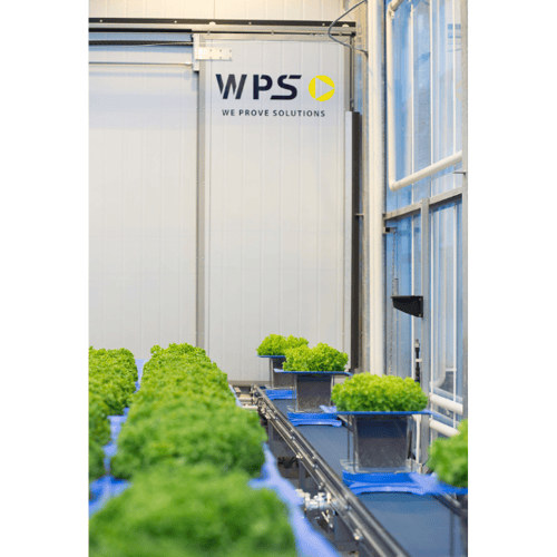 Automated Phenotyping 