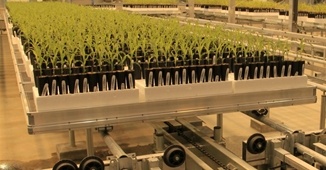 Bench-based phenotyping
