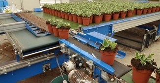 Buffer Sorting Systems