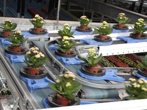 The patented plant carrier design from WPS offers maximum plant + pot flexibility and greatly reduced system loads. Push frames allows for larger pots and taller plants.