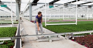 Semi-Automated Phenotyping