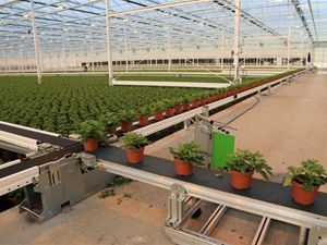 Semi-Automated Phenotyping