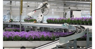Robotica Oplossingen