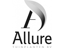 Allure