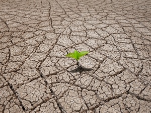 Droogte Droogte