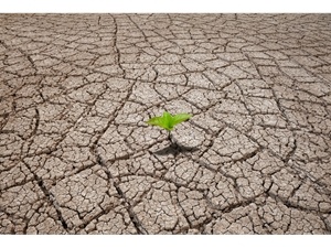 Droogte