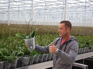 Plant Groei Cel