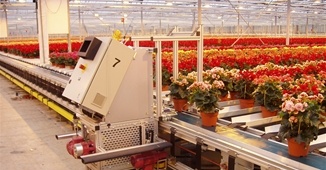 Walking Plant System