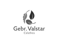 gebrvalstar