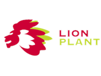 Lion Plant