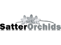 orchids satter