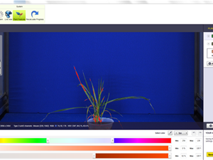 RGB Imaging Sensor