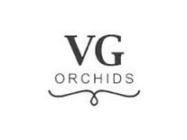 vgorchids