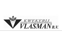 vlasman