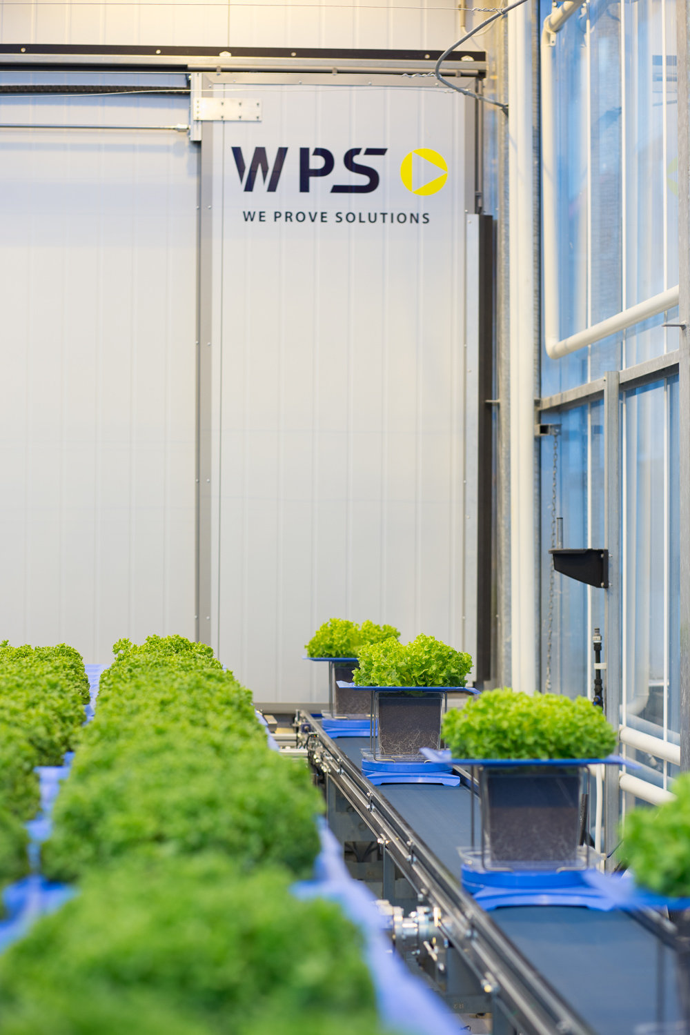 WPS Plant Phenotyping KeyGene WPS Plant Phenotyping KeyGene