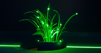 Plant 3D