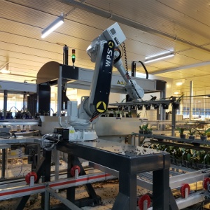 Expertpanel: wat zijn de gevolgen van automatisering?