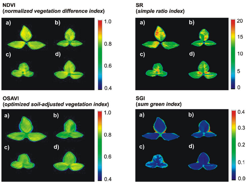 Hyperspectrale beeldvorming en de verzilting van ons landbouwgrond