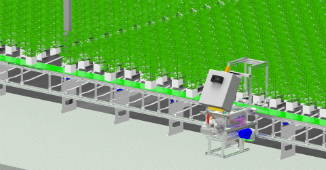 Walking Plant System Cannabis