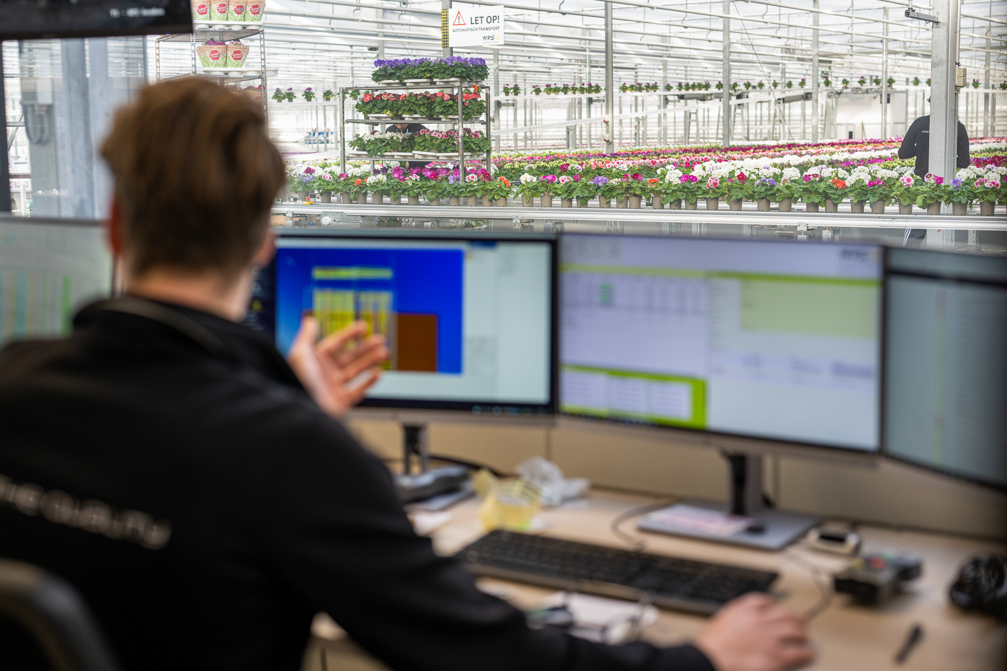 WPS22_ARF1743_AS_Computerschermen