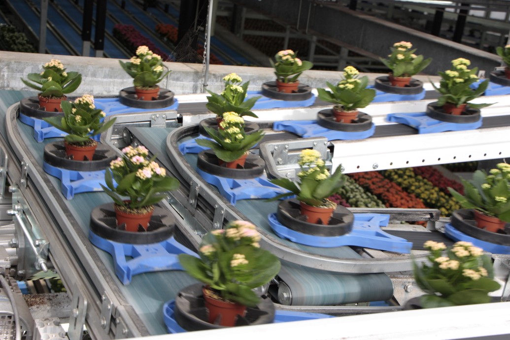 Plant Carriers phenotyping (1)